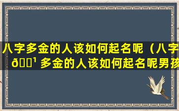 八字多金的人该如何起名呢（八字 🌹 多金的人该如何起名呢男孩）